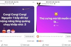 Hướng dẫn tạo "Trả lời câu hỏi" trên Facebook cực kỳ đơn giản