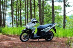 Click 125 độ khoe dáng trong rừng thông Đà Lạt