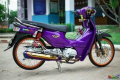 Cub Fi độ mang sắc tím thủy chung bên option đồ chơi đơn giản