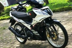 Exciter 135 độ hòa vào nền cây xanh của một góc công viên