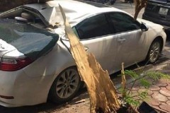 Lexus ES 300h bị cây đè bẹp một phần giữa phố Hà Nội