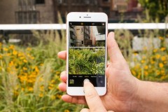 Hướng dẫn "quay film điệp viên" trên iOS 11 và iOS 12