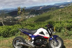 MSX 125 độ - hạ lùn đi kèm nhiều món đồ chơi chất