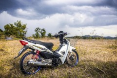 Wave độ hiền hòa khoe dáng bên đồng cỏ chiều