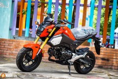 Cận cảnh Honda MSX 125 2018 với sắc màu mới