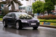 Dàn xe Audi đón dâu trong đám cưới Á hậu Dương Tú Anh