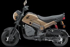 Honda Navi - MSX phiên bản xe ga chốt giá 14,9 triệu đồng