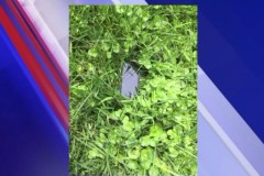 iPhone rơi từ trên trời xuống, vẫn hoạt động bình thường