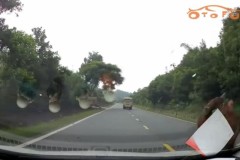 Ô tô vỡ gương chiếu hậu vì đâm phải bò qua đường