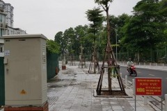 Chuyện lạ ở một dự án đường giao thông giữa Thủ đô: Dẫn đường người mù