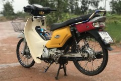 Cub Fi độ hệ thống giữ thăng bằng trên đất Thái gây hại não người xem
