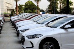 Thị trường ô tô nhập khẩu đang ngày càng diễn biến tích cực