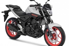 Yamaha MT-25 2018 phiên bản màu đỏ, giá không đổi