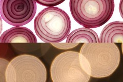 Bạn biết gì về khái niệm Bokeh vân hành?