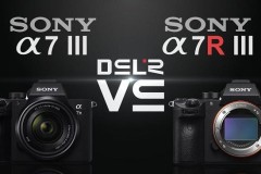 So sánh Sony A7 III và A7R III: Bạn lựa chọn sản phẩm nào?