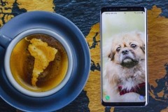 Rò rỉ màu sắc và các tùy chọn bộ nhớ của Galaxy P30