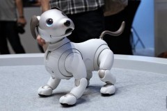 [IFA 2018] Sony gây chú ý khi đưa chú chó robot AIBO thế hệ mới đến ra mắt