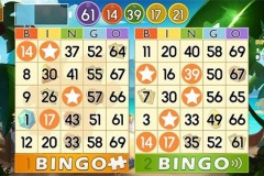 Top game Bingo thú vị dành cho người dùng Android