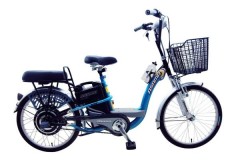 Những thương hiệu xe đạp điện chất đẹp và chất lượng bạn nên cân nhắc