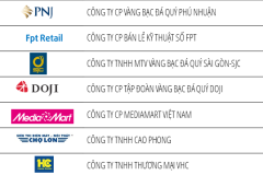 Top 10 công ty bán lẻ uy tín nhất Việt Nam