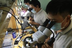 Sửa chữa điện thoại chuyên nghiệp tại Singapore có giống ở Việt Nam?