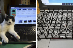 [Vui] Người Nhật phải mua “bẫy” về để bảo vệ bàn phím khỏi… loài mèo