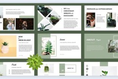 1001 ý tưởng thiết kế slide thuyết trình truyền cảm hứng cho người nghe(Phần 2)