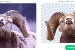 Có được tấm ảnh xóa phông xuất thần chỉ bằng một cú click chuột