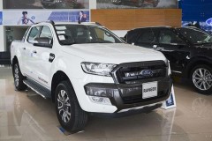 Phân khúc xe bán tải hứa hẹn sẽ khởi sắc trong năm 2019