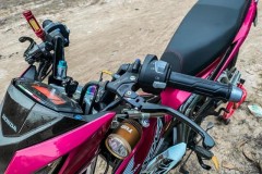 Sonic độ 'chìm đắm' trong những đồ chơi hàng hiệu