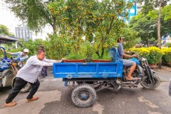 TP.HCM ngày cuối năm