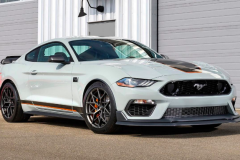 Ford thiệt hại hơn 17 tỷ đồng do sơ suất nhỏ trong tài liệu truyền thông