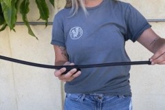 Đây là Schedge - Cần gạt kính chắn gió tiện ích, chỉ mất vài giây để thay thế