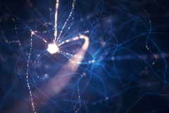 Một nơ ron thần kinh trong não bộ con người có sức mạnh điện toán phức tạp cỡ nào?