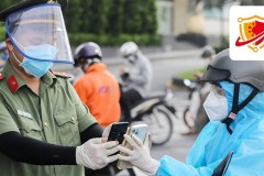 Cách tra cứu giấy đi đường trên PC Covid cực kỳ tiện lợi cho bạn