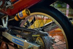 Xì po độ tới nái quyến rũ người xem bằng vẻ ngoài trần như nhộng!