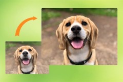 Cách phóng to ảnh gấp 4 lần không bị vỡ trên điện thoại và máy tính