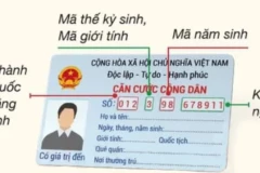 Hướng dẫn cách nhớ số CCCD gắn chip