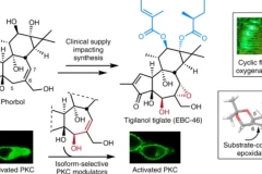 Thuốc điều trị ung thư đột phá được phát triển bởi các nhà nghiên cứu Stanford