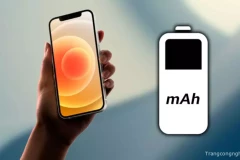 Cách kiểm tra tình trạng pin của iPad và iPhone