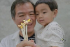 Ubiquity Sprouting Corporation thông báo lắp đặt cơ sở trồng rau mầm đậu phộng đạt sản lượng 1.000 kg mỗi ngày.