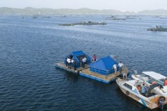 Đại học Công nghệ Sydney (UTS) hợp tác với các nhà nghiên cứu của đại học Việt Nam tạo ra giải pháp quan trắc nước cho lĩnh vực nuôi trồng thủy sản