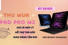 Chương Trình Thu Mua iPad Cũ Giá Cao tại Tiến Trần Mobile – Lựa Chọn Thông Minh Cho Việc Nâng Cấp Thiết Bị