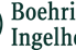 Boehringer’s zongertinib shows encouraging efficacy and tolerability profile in previously treated HER2 mutated lung cancer patients