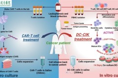Bệnh viện Chang Gung Memorial ra mắt liệu pháp tế bào: Ngọn hải đăng đem lại tia sáng hy vọng trong lĩnh vực điều trị ung thư