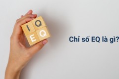 Chỉ số EQ là gì? EQ có bao nhiêu điểm?