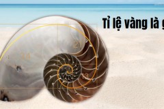 Số hữu tỉ là gì? Các phép toán với số hữu tỉ kèm bài tập chi tiết