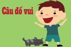 Số nguyên tố là gì? Bảng số nguyên tố toán học, kèm ví dụ chi tiết