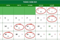 Lịch cắt tóc tháng 8 năm 2025: Ngày tốt thu hút tài lộc, may mắn