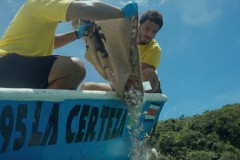 Dự án Trở về nhà của FIFCO: Nhờ AI, Costa Rica trả lại hơn 36.000 vỏ sò về môi trường sống của chúng để phục hồi hệ sinh thái biển